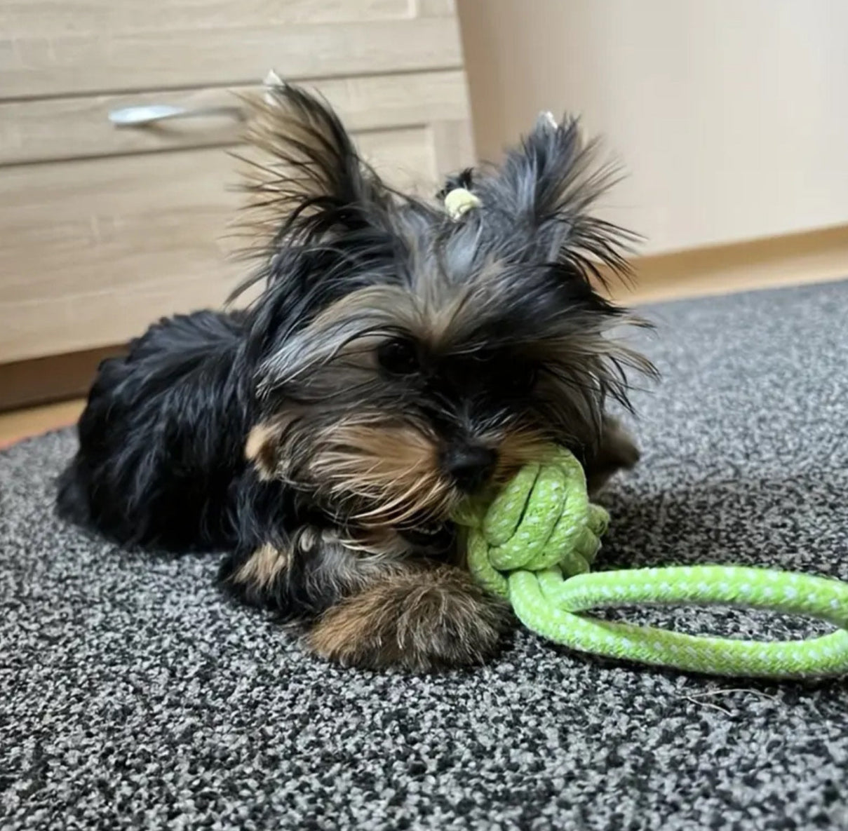 Braided Rope Ball Dog toy